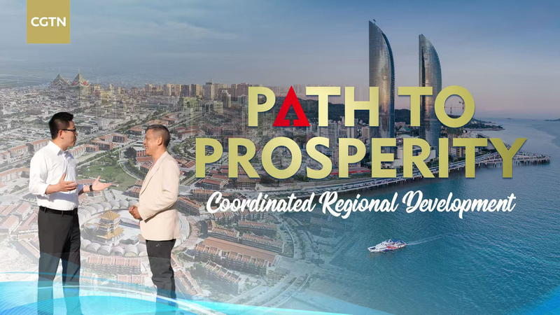 चीन की समन्वित क्षेत्रीय रणनीति समृद्धि की नई राह बनाती है video poster