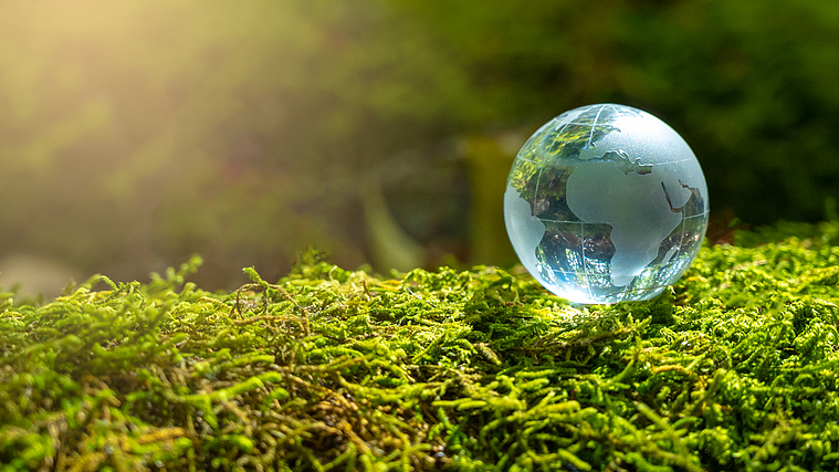 CGTN पोल: विश्व ने पेरिस समझौते की वर्षगाँठ पर ठोस जलवायु शासन की माँग की