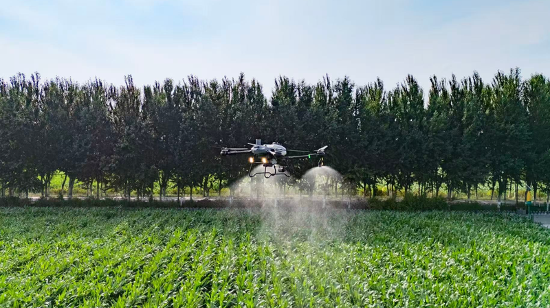 स्मार्ट खेती चीनी मुख्य भूमि पर रिकॉर्ड फसल का कारण बनती है