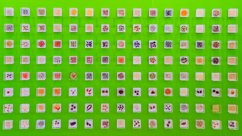 बीजिंग फसल जर्मप्लाज्म संरक्षण में दुनिया में अग्रणी बीजिंग फसल जर्मप्लाज्म संरक्षण में दुनिया में अग्रणी