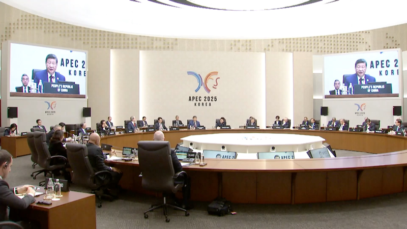 शी समावेशी विकास की वकालत करते हैं 32वीं एPEC आर्थिक नेताओं की बैठक में video poster