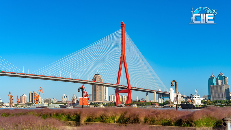 शंघाई का यांगपू रिवरफ्रंट: औद्योगिक केंद्र से रिवरसाइड ओएसिस तक शंघाई का यांगपू रिवरफ्रंट: औद्योगिक केंद्र से रिवरसाइड ओएसिस तक video poster