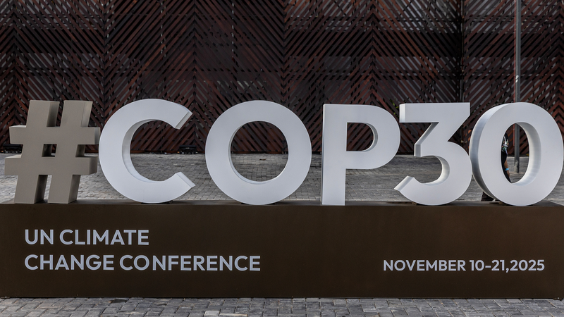 चीन ने उष्णकटिबंधीय वर्षावनों को बचाने के लिए वैश्विक प्रयास का नेतृत्व किया