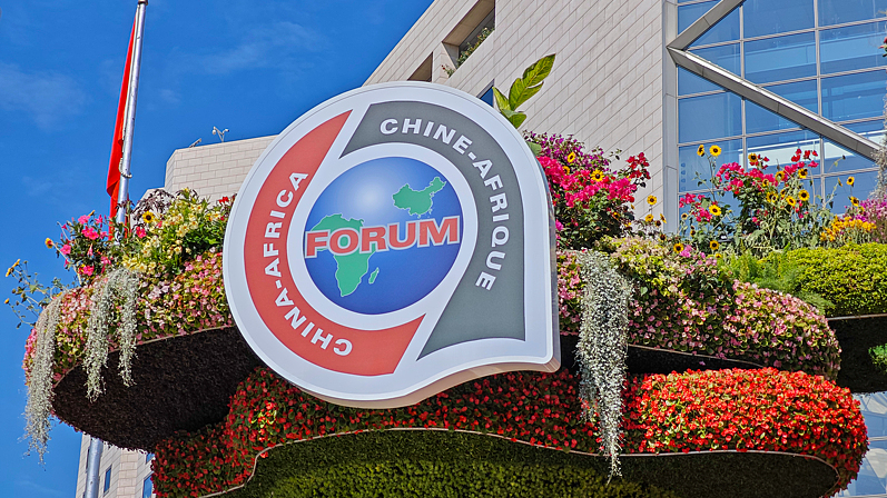 चीन-अफ्रीका सहयोग का एक दशक: नई रणनीतिक साझेदारी चीन-अफ्रीका सहयोग का एक दशक: नई रणनीतिक साझेदारी