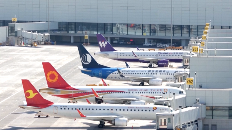 निकी एशिया ने जापान में चीनी पर्यटकों की कमी की चेतावनी दी video poster