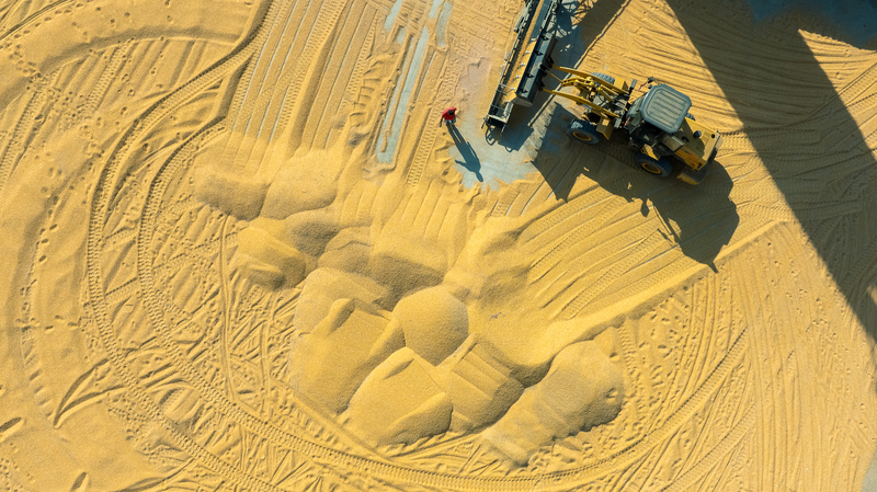 चीनी मुख्यभूमि का अनाज उत्पादन 2025 में रिकॉर्ड 714.88 मिलियन टन पर पहुंचा चीनी मुख्यभूमि का अनाज उत्पादन 2025 में रिकॉर्ड 714.88 मिलियन टन पर पहुंचा