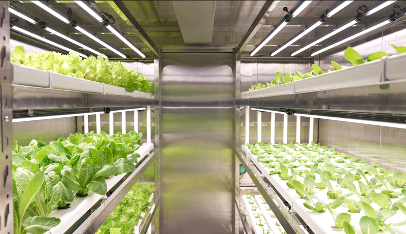 चीन ने समुद्री उपयोग के लिए हाइब्रिड स्मार्ट फार्मिंग मॉड्यूल का अनावरण किया चीन ने समुद्री उपयोग के लिए हाइब्रिड स्मार्ट फार्मिंग मॉड्यूल का अनावरण किया video poster