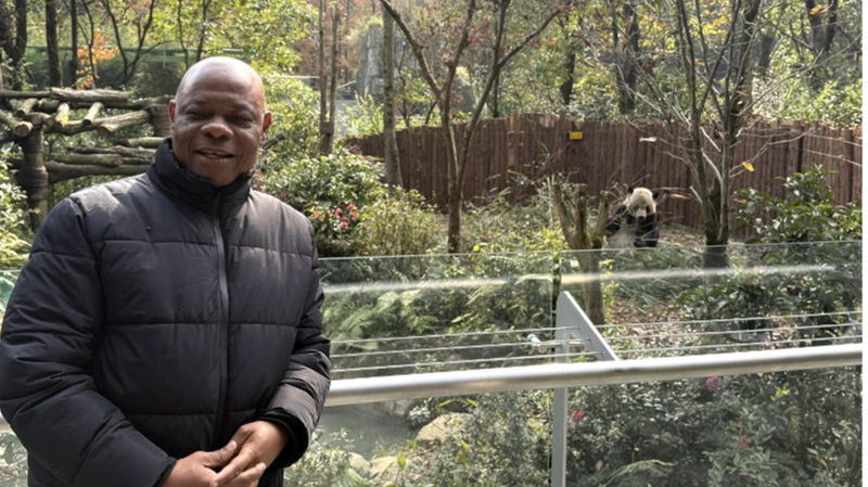 चीन के पांडा संरक्षण और जैव विविधता क्रांति के अंदर