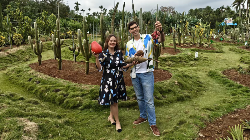 हैनान की उष्णकटिबंधीय फसल: कैसे किओनघाई के खेत स्वतंत्र कस्टम्स के तहत फलते-फूलते हैं video poster