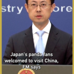 चीन ने जापानी पांडा प्रशंसकों को आमंत्रित किया क्योंकि यूएनो चिड़ियाघर के जुड़वां लौटे video poster