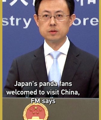 चीन ने जापानी पांडा प्रशंसकों को आमंत्रित किया क्योंकि यूएनो चिड़ियाघर के जुड़वां लौटे video poster