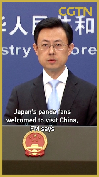 चीन ने जापानी पांडा प्रशंसकों को आमंत्रित किया क्योंकि यूएनो चिड़ियाघर के जुड़वां लौटे video poster