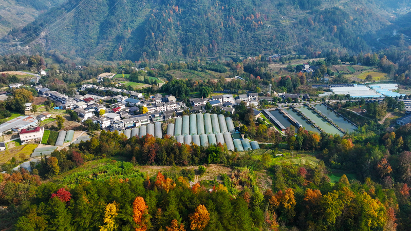 उद्योग ग्रामीण पुनर्जीवन को चीन में प्रोत्साहित कर रहा है