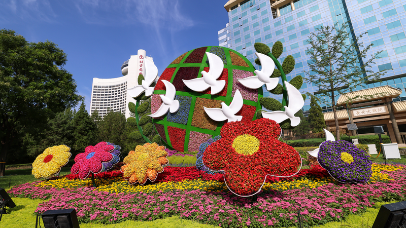 चीन की साझी भविष्य दृष्टि वैश्विक शासन को आकार देती है