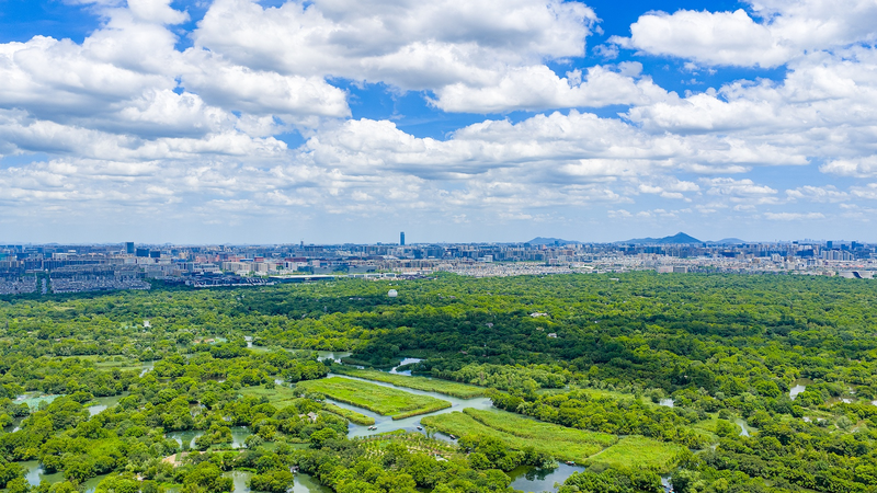 हांग्जो UN के शीर्ष 20 शून्य-अपशिष्ट शहरों में शामिल