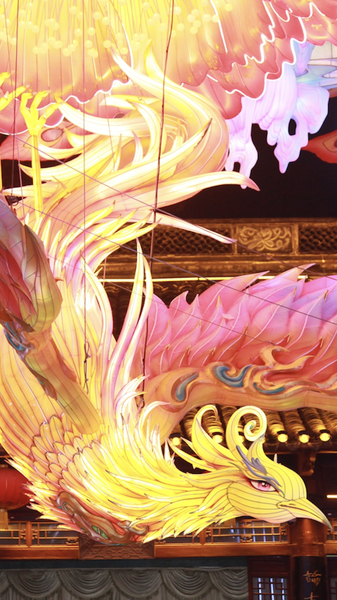 नानजिंग का कन्फ़्यूशियस मंदिर 2026 को शानदार लालटेन महोत्सव के साथ प्रकाशित करता है video poster