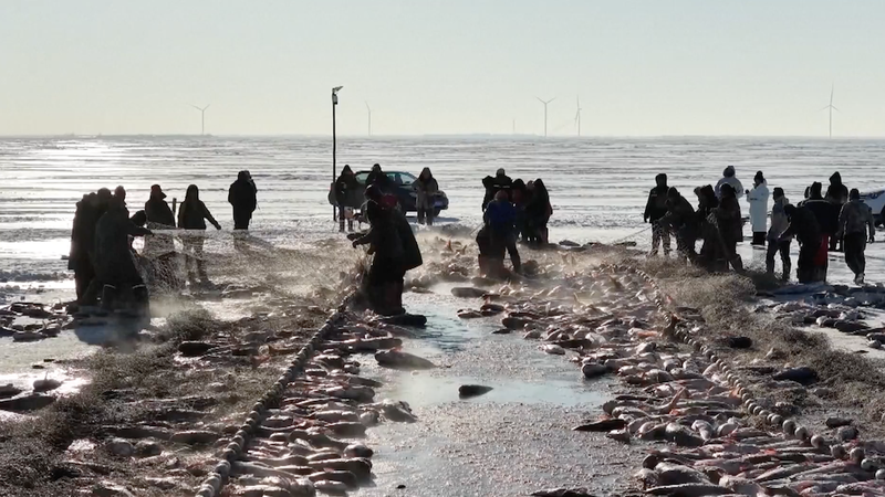 चागन लेक आइस फिशिंग फेस्टिवल ने जिनलिन में शुरुआत की video poster