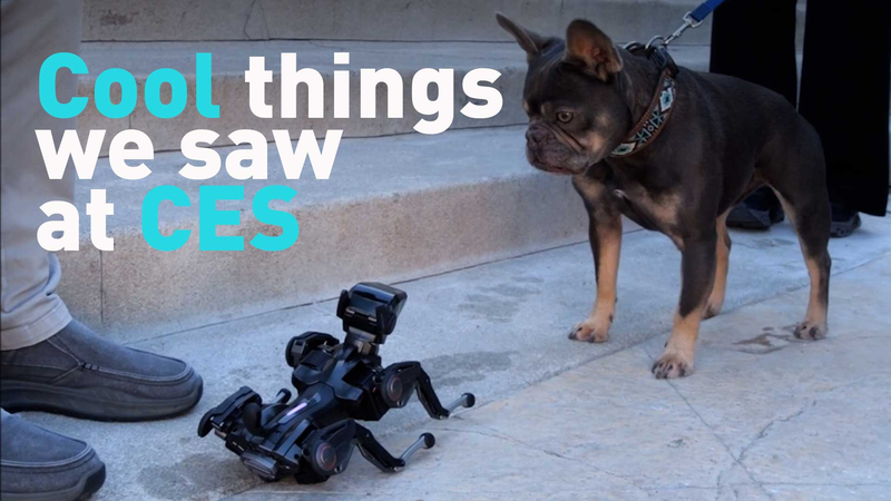 CES 2026 हाइलाइट्स: शानदार, अजीब, नया टेक video poster