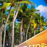 सर्दियों की धूप सेंकें सान्या के कोकोनट ड्रीम कॉरिडोर में video poster